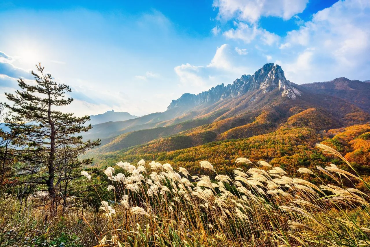 울산바위 추경