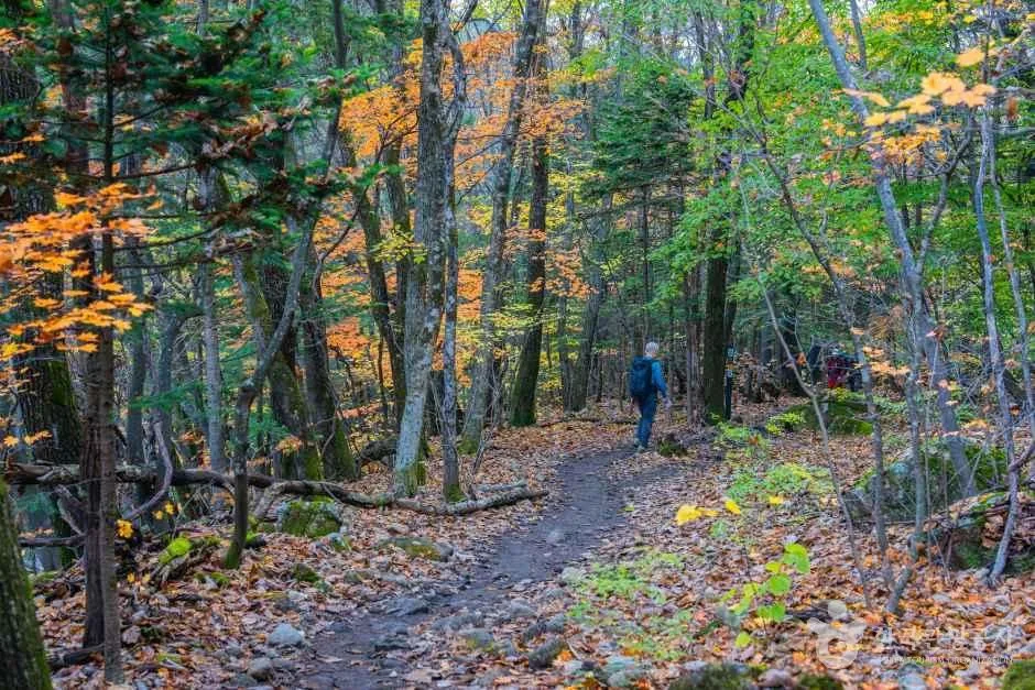 Seoraksan National Park scenery, the destination for a Seoraksan day trip from Seoul