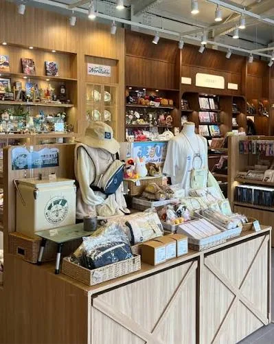 Jeju's Studio Ghibli Cafe: Koriko & Dotori Forest Guide — studio-ghibli-cafe-jeju-island-guide